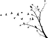 22921954-oiseau-qui-vole-autour-d-39-une-branche-d-39-arbre
